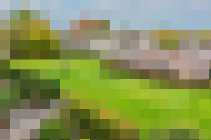 Jagersdreef 27 Driebergen-Rijsenburg thumbnail 20