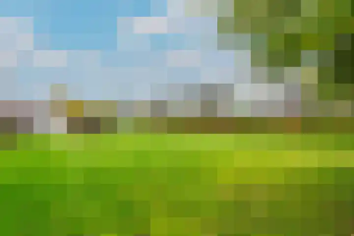 Jagersdreef 27 Driebergen-Rijsenburg thumbnail 21
