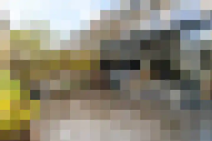 Jagersdreef 70 Driebergen-Rijsenburg thumbnail 28