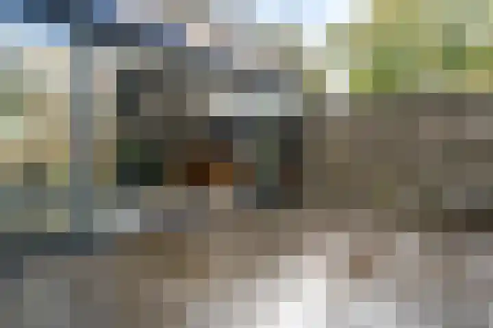 Jagersdreef 70 Driebergen-Rijsenburg thumbnail 30