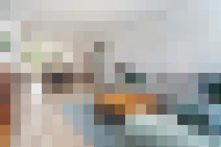 Jagersdreef 70 Driebergen-Rijsenburg thumbnail 4
