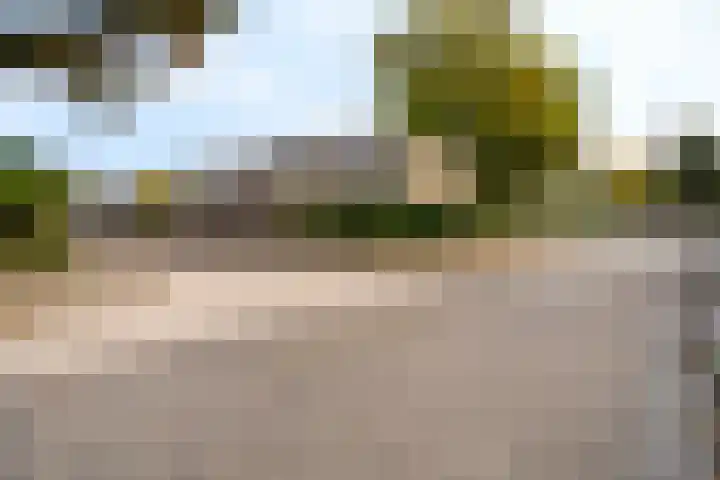 Jagersdreef 70 Driebergen-Rijsenburg thumbnail 6