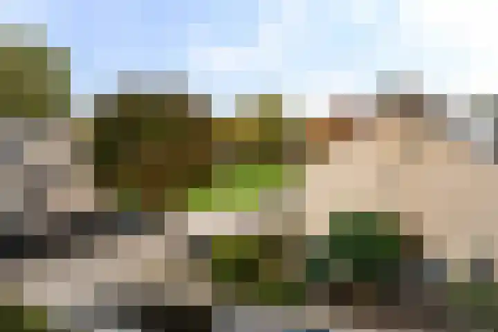 Jagersdreef 70 Driebergen-Rijsenburg thumbnail 61