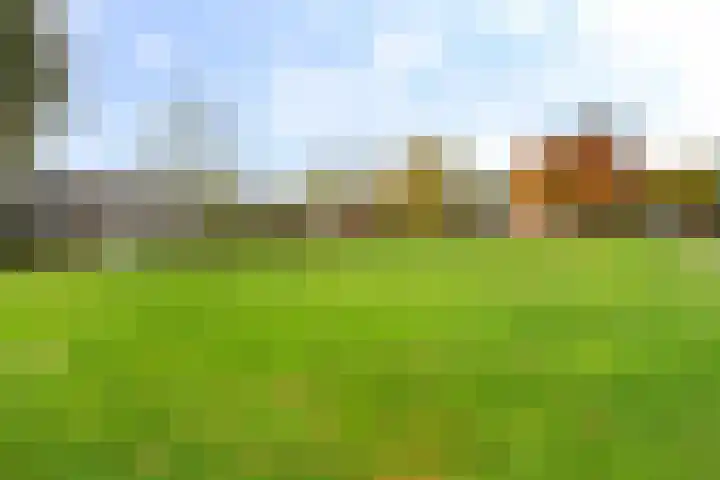 Jagersdreef 70 Driebergen-Rijsenburg thumbnail 68