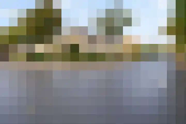 Jagersdreef 70 Driebergen-Rijsenburg thumbnail 7
