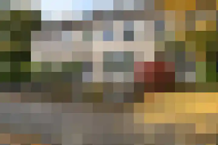 Jagersdreef 70 Driebergen-Rijsenburg thumbnail 9