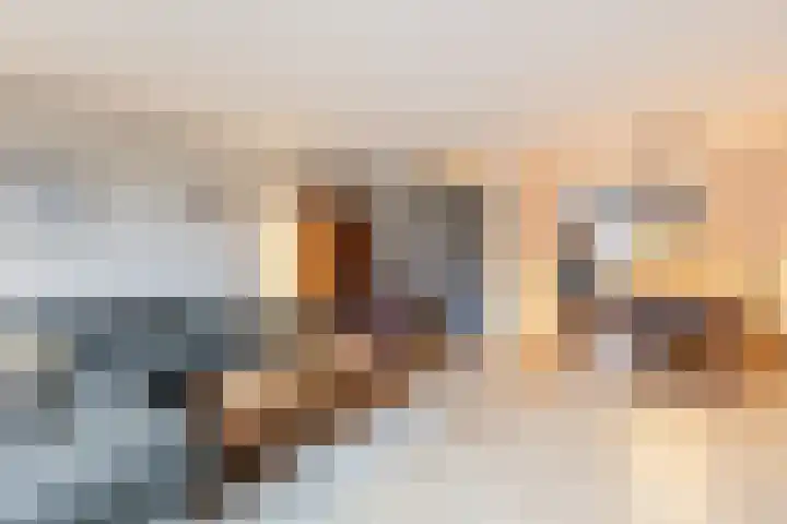 Jagershei 12 Best thumbnail 10
