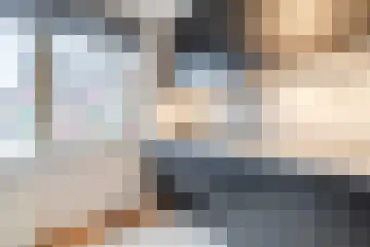Jagershei 12 Best thumbnail 14