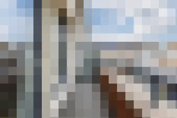 Jagershei 12 Best thumbnail 18