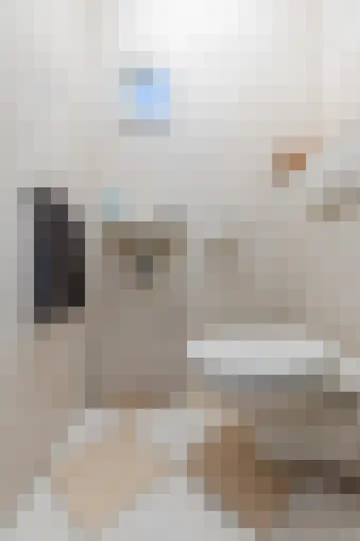 Jagershei 12 Best thumbnail 24