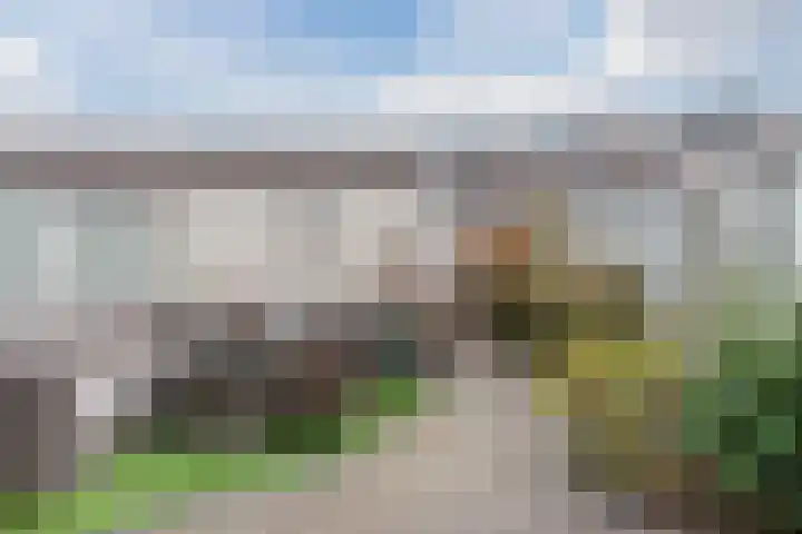Jagershei 12 Best thumbnail 5
