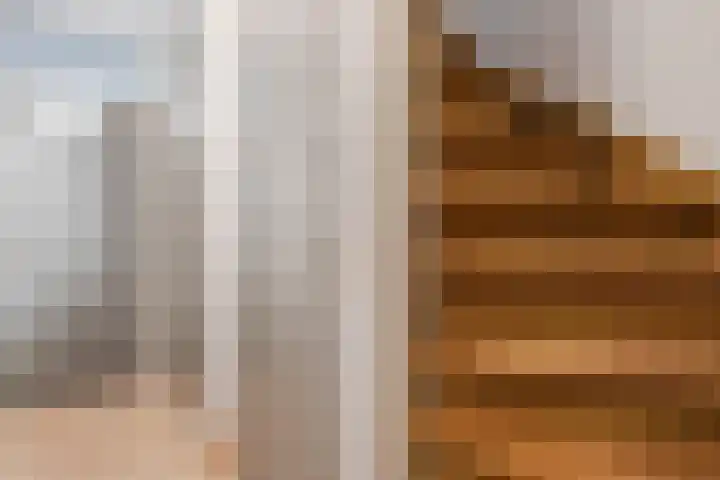 Jagershei 12 Best thumbnail 8