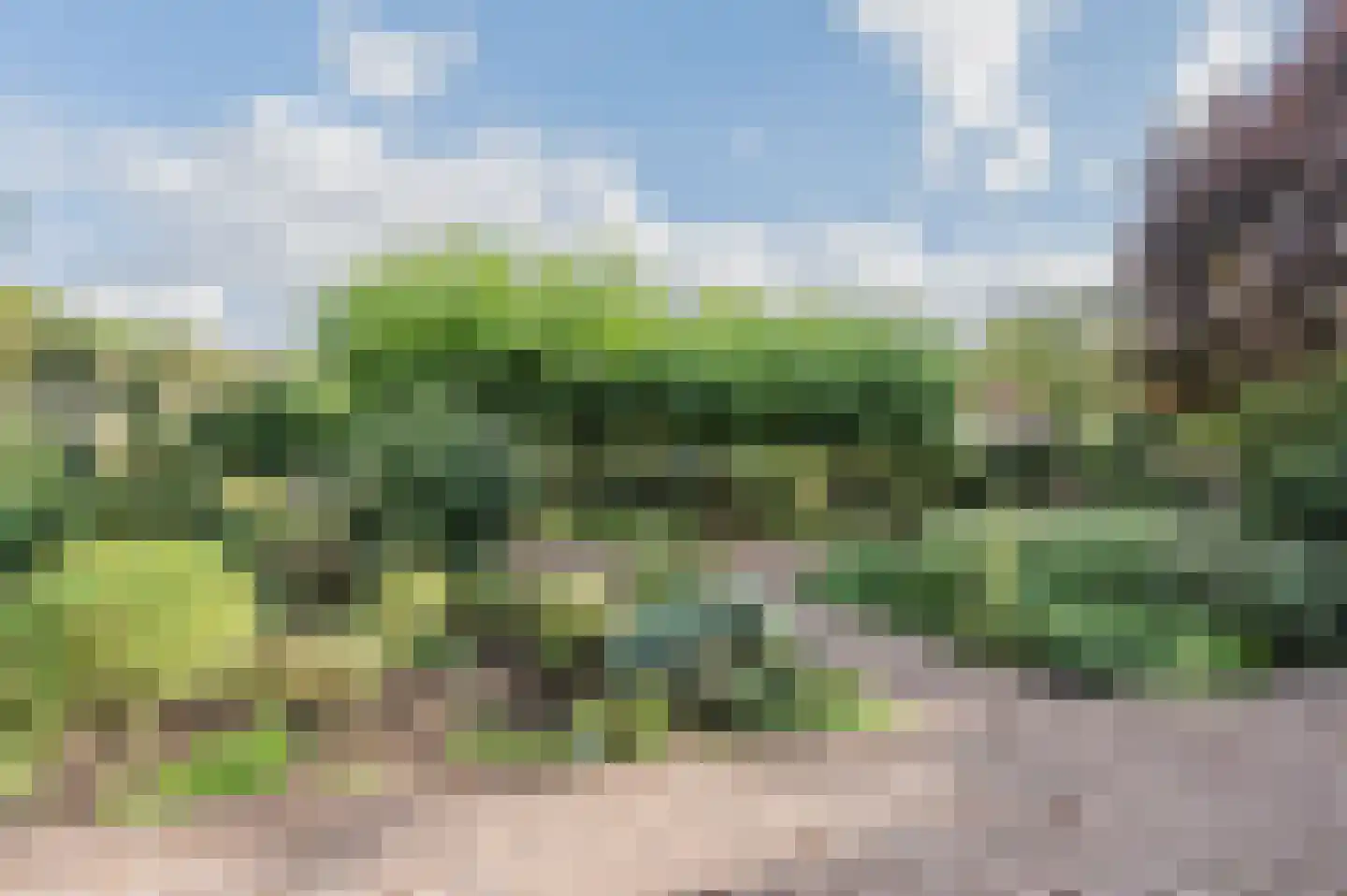 Jagershei 17 Best thumbnail 5