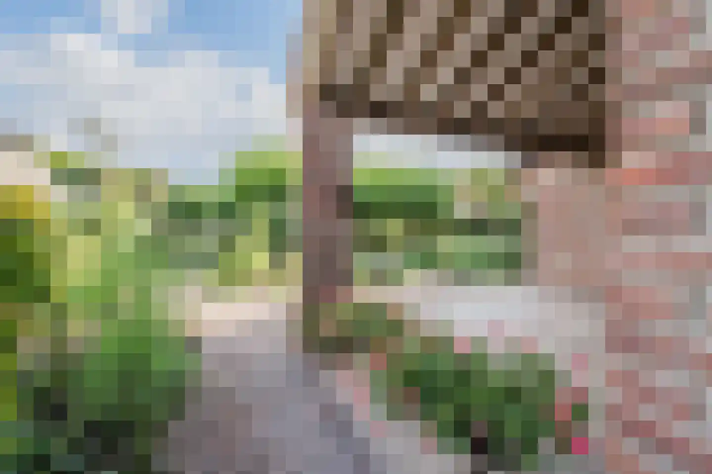 Jagershei 17 Best thumbnail 66