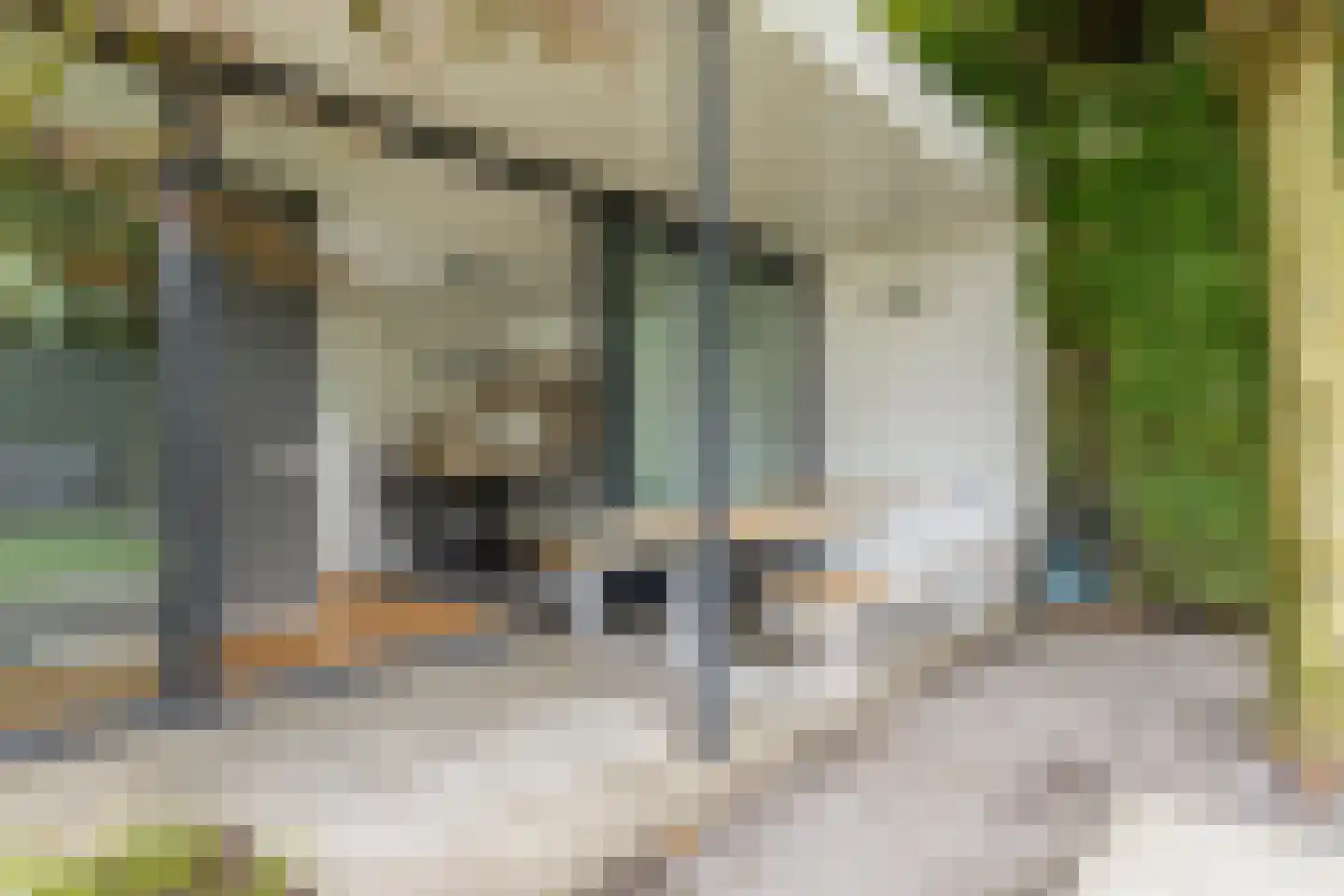 Jagershei 21 Best thumbnail 46