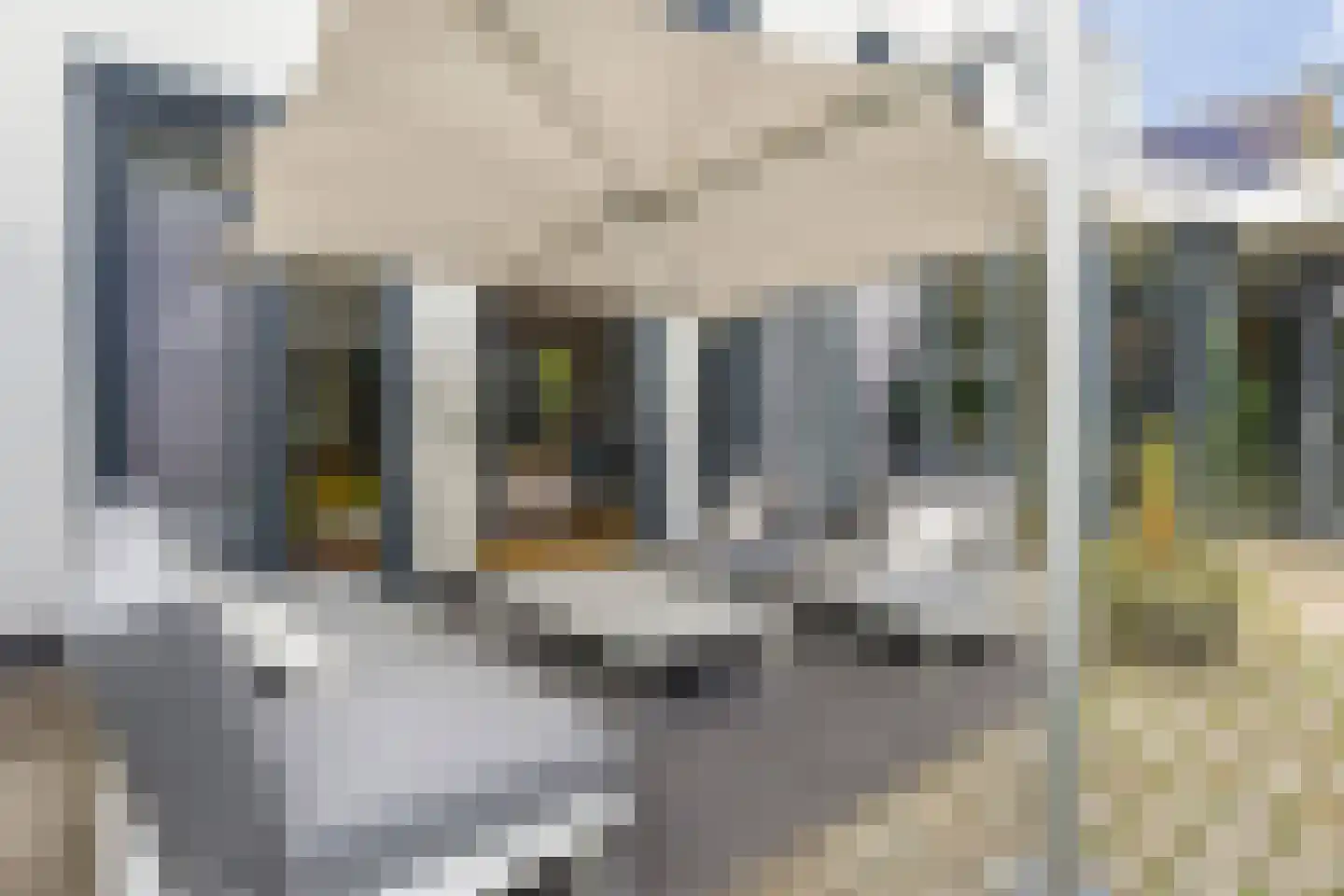 Jagershei 21 Best thumbnail 47