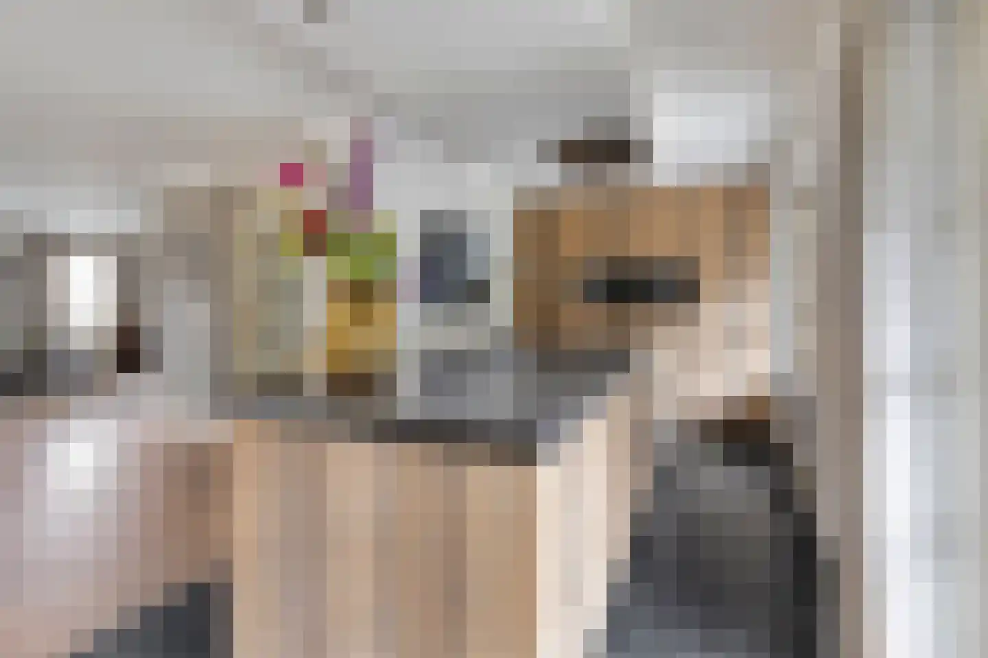 Jagershei 23 Best thumbnail 14