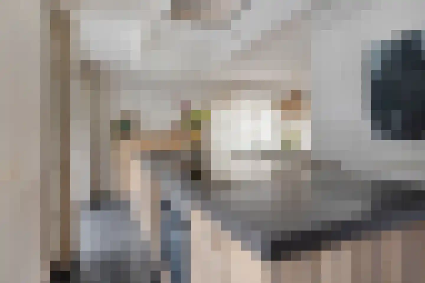 Jagershei 23 Best thumbnail 15