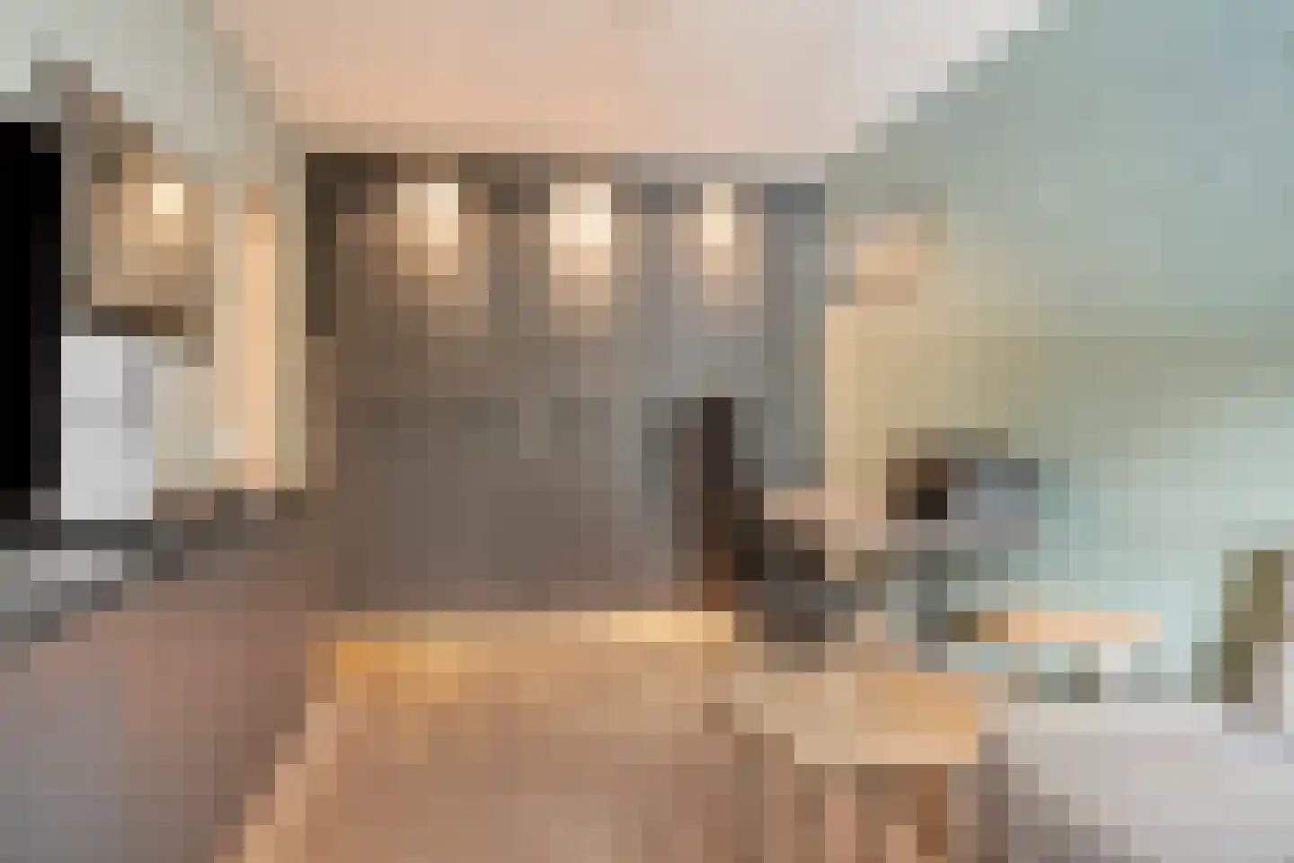 Jagershei 23 Best thumbnail 16
