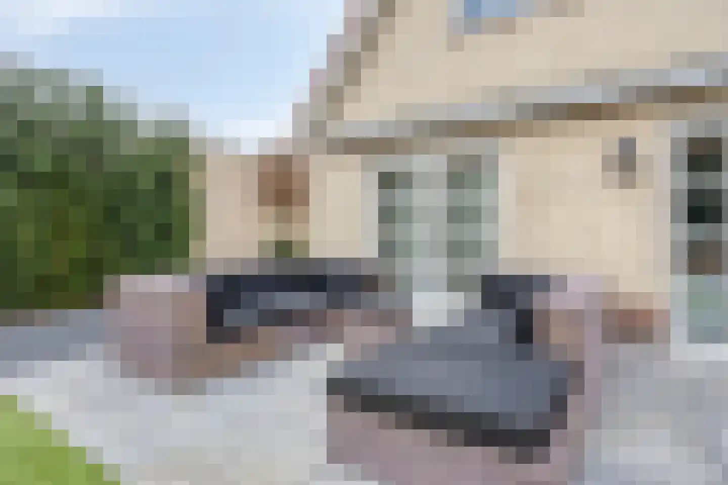 Jagershei 23 Best thumbnail 37