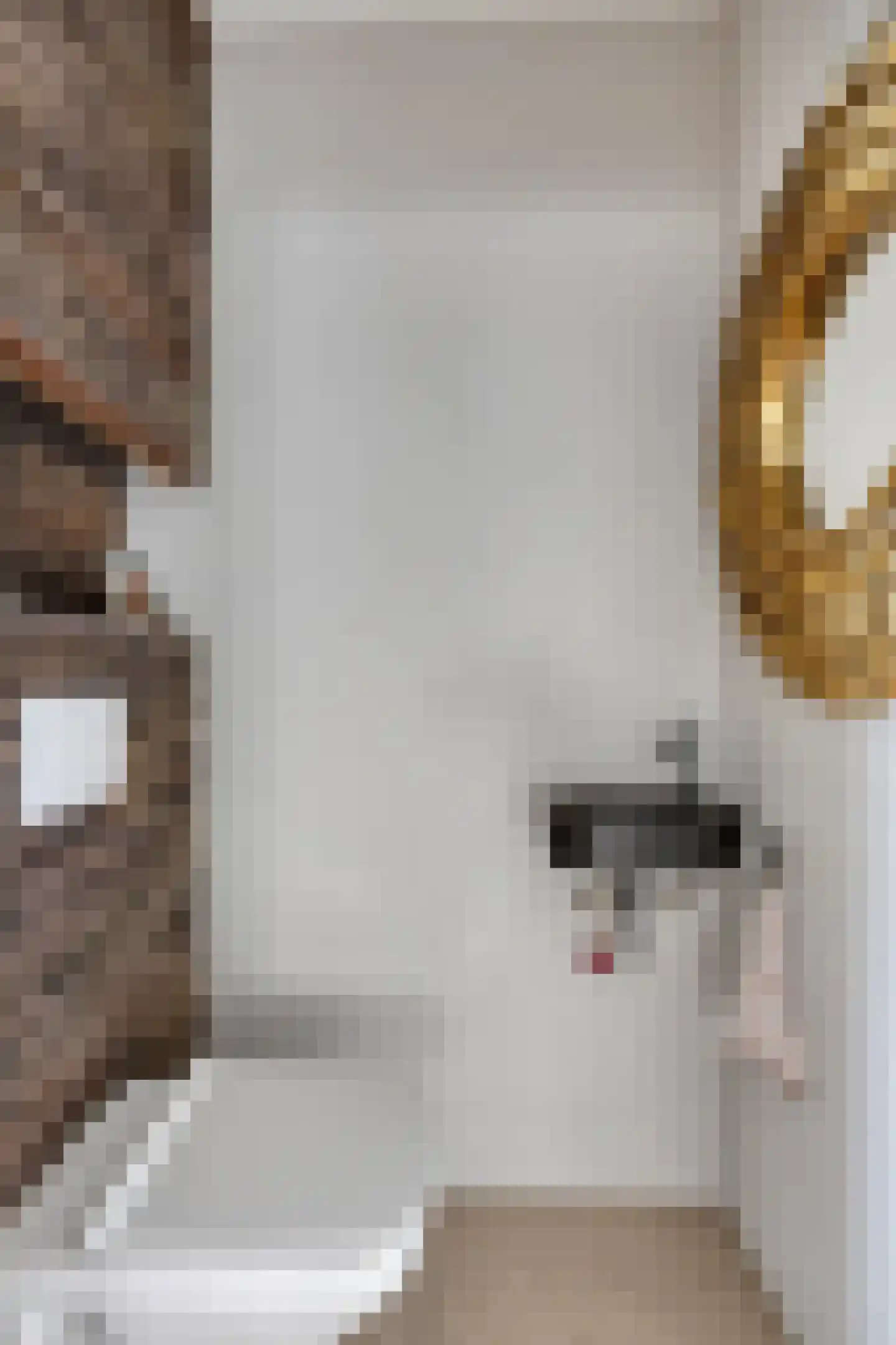 Jagershei 23 Best thumbnail 7