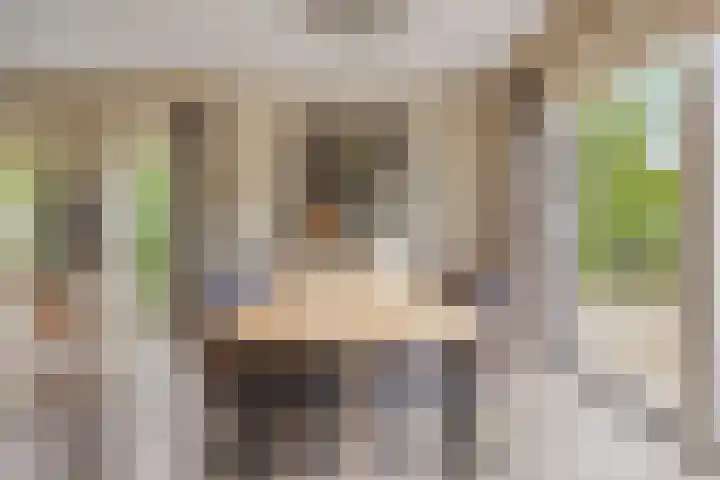 Jagershei 34 Best thumbnail 12