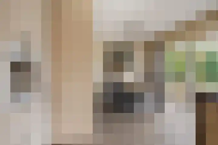 Jagershei 34 Best thumbnail 13