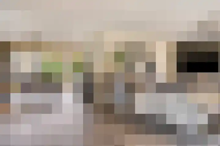 Jagershei 34 Best thumbnail 16