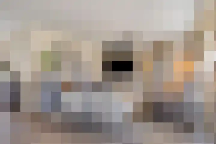 Jagershei 34 Best thumbnail 18