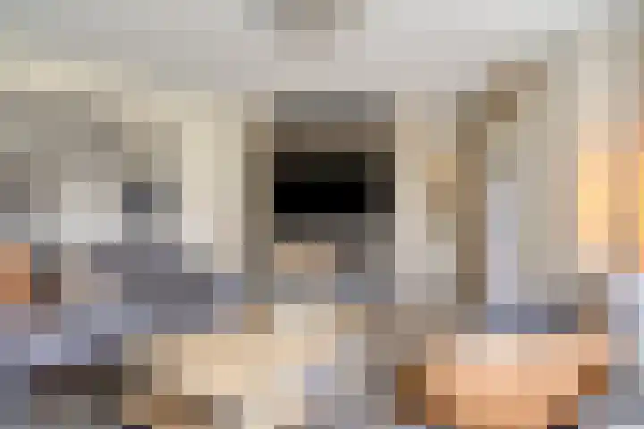 Jagershei 34 Best thumbnail 20