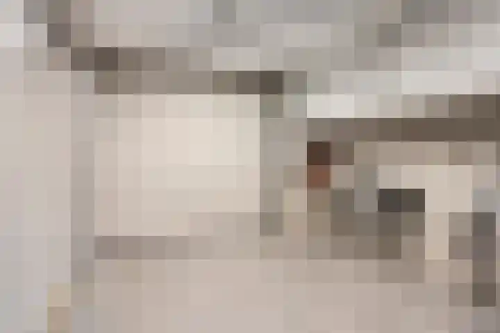Jagershei 34 Best thumbnail 21