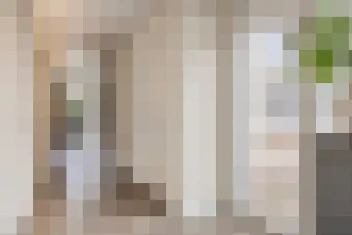 Jagershei 34 Best thumbnail 27