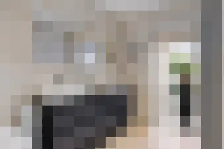 Jagershei 34 Best thumbnail 29