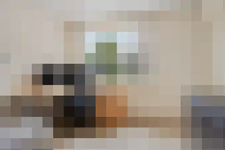 Jagershei 34 Best thumbnail 32