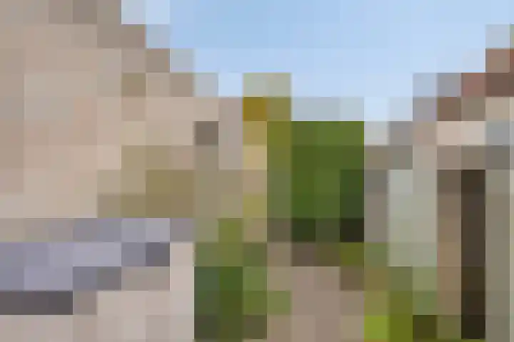 Jagershei 34 Best thumbnail 35