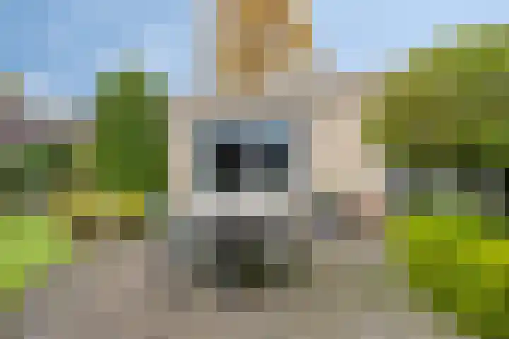 Jagershei 34 Best thumbnail 37