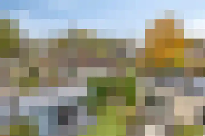 Jagershei 34 Best thumbnail 39