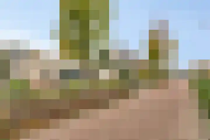 Jagershei 34 Best thumbnail 41