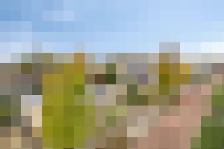 Jagershei 34 Best thumbnail 45