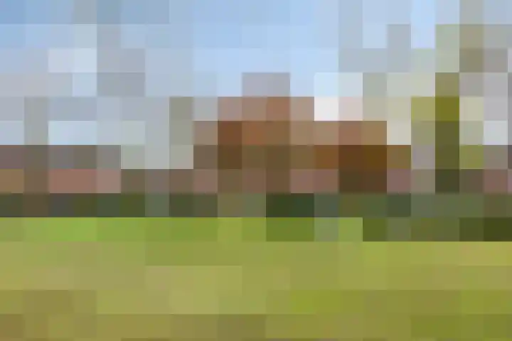 Jagershei 34 Best thumbnail 46