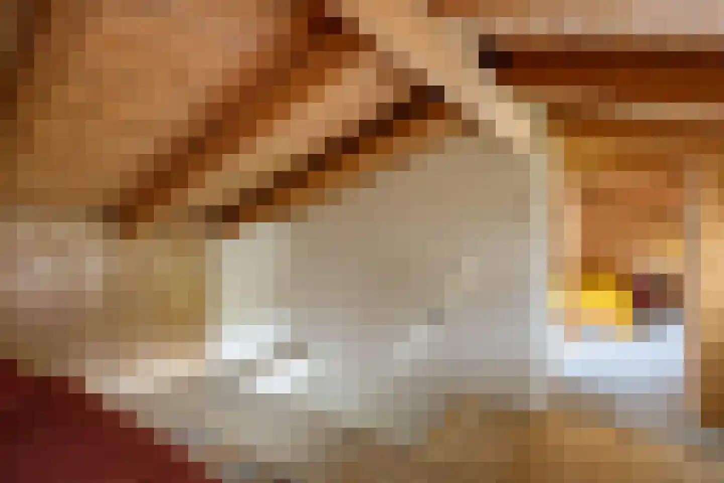 Jagershof 2 Haren Gn thumbnail 26