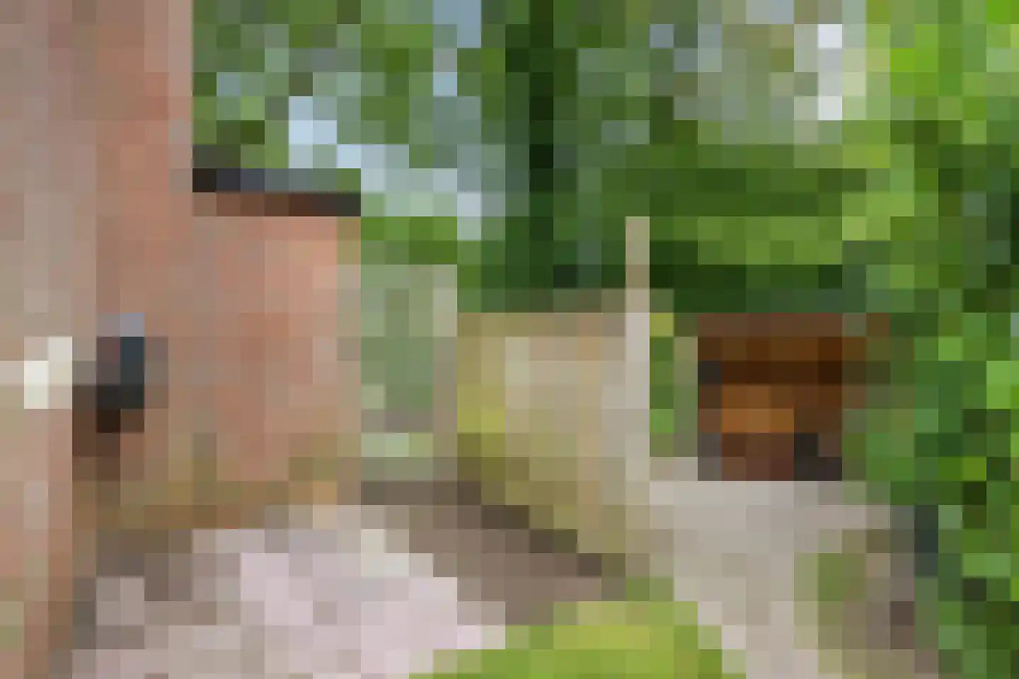 Jagershof 2 Haren Gn thumbnail 39