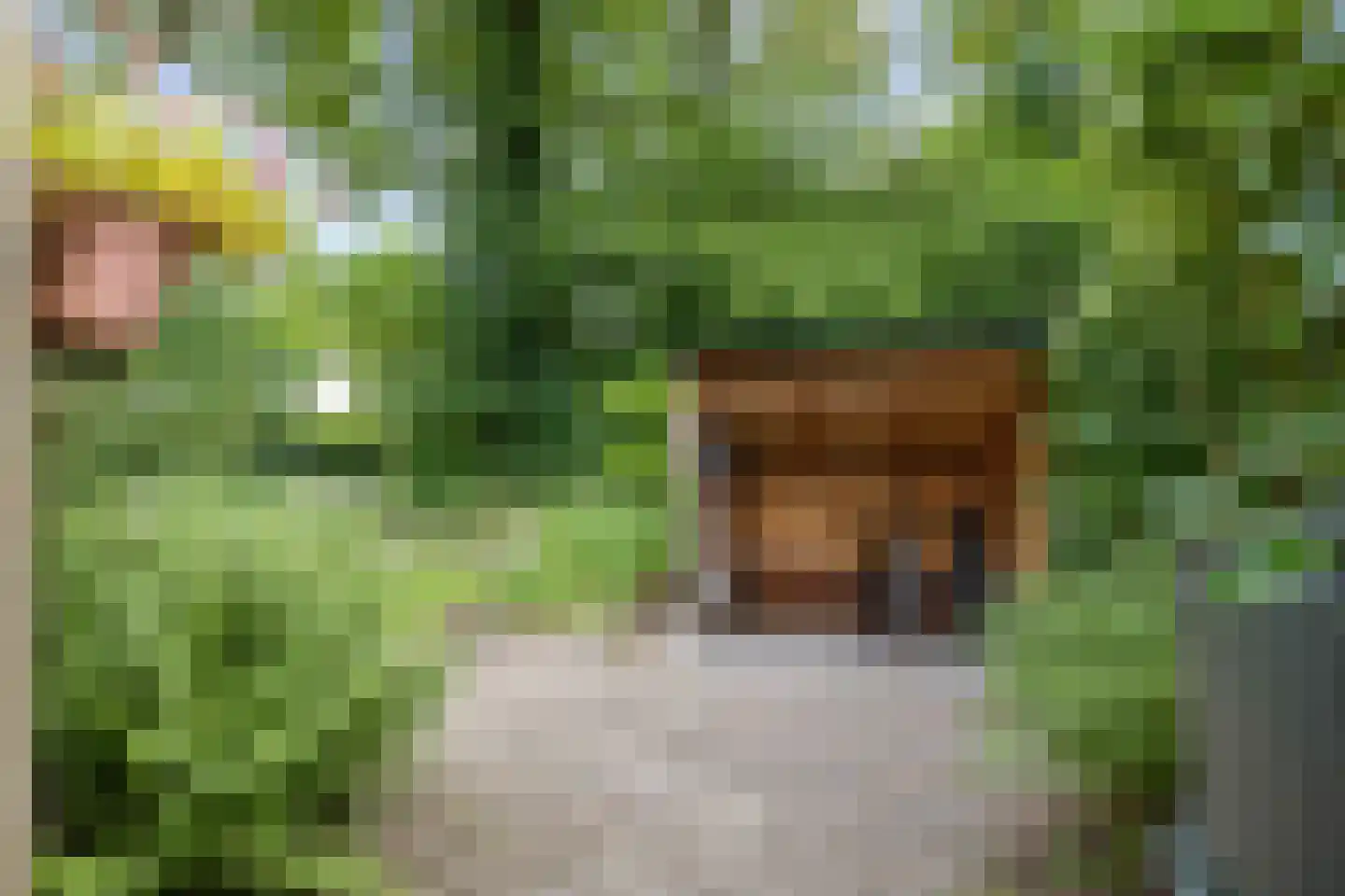 Jagershof 2 Haren Gn thumbnail 40