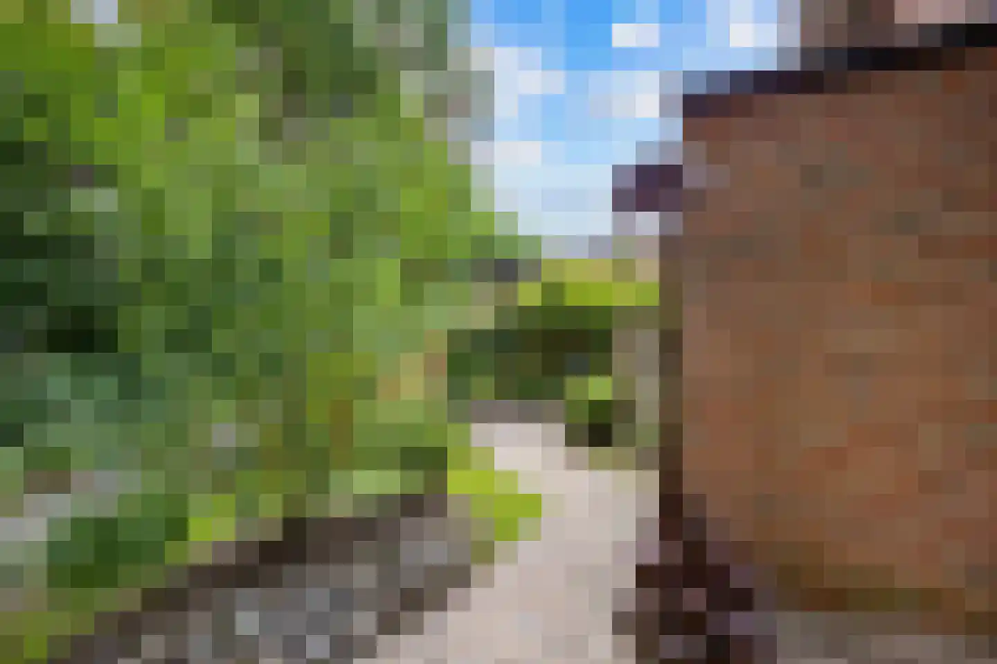 Jagershof 2 Haren Gn thumbnail 44