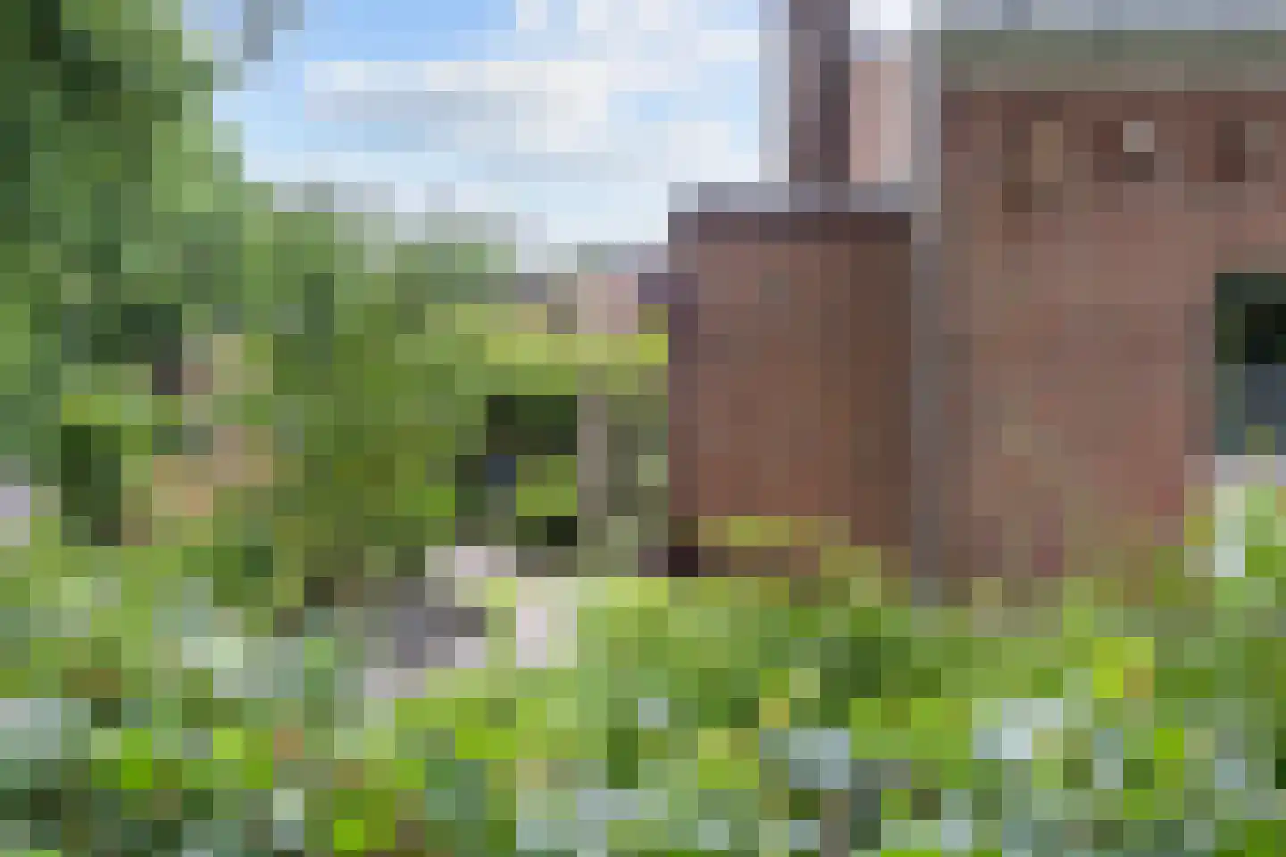 Jagershof 2 Haren Gn thumbnail 45
