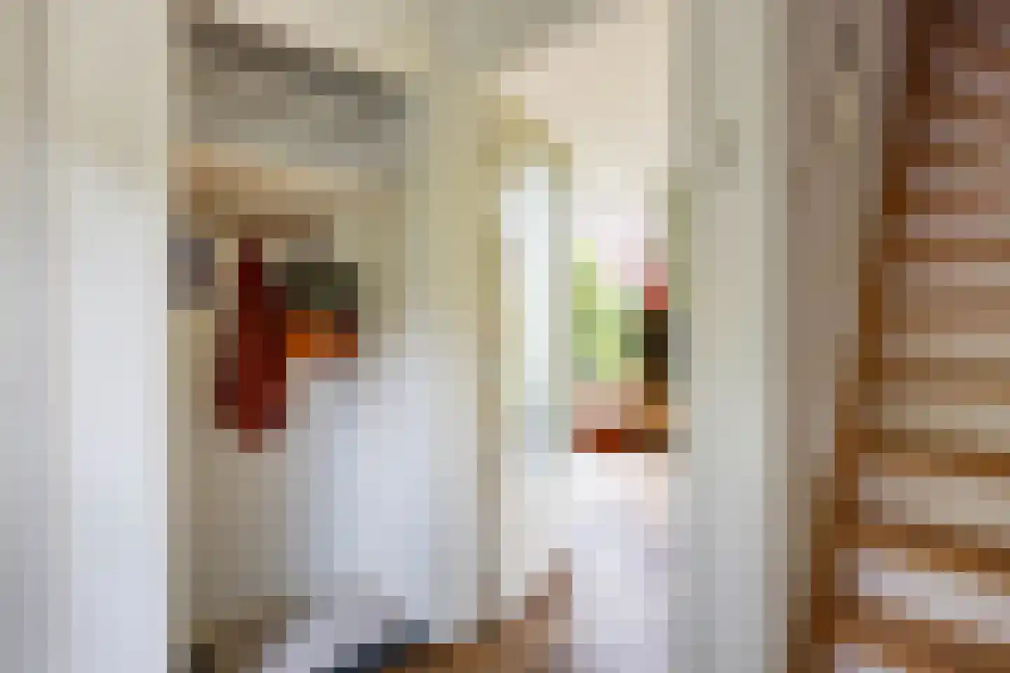 Jagershof 2 Haren Gn thumbnail 9