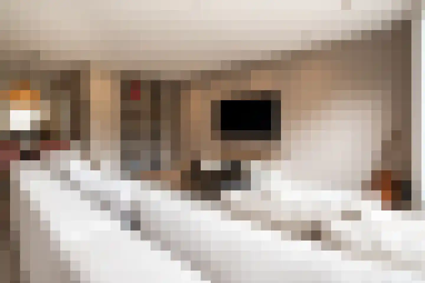 Jagershof 2 Oss thumbnail 11