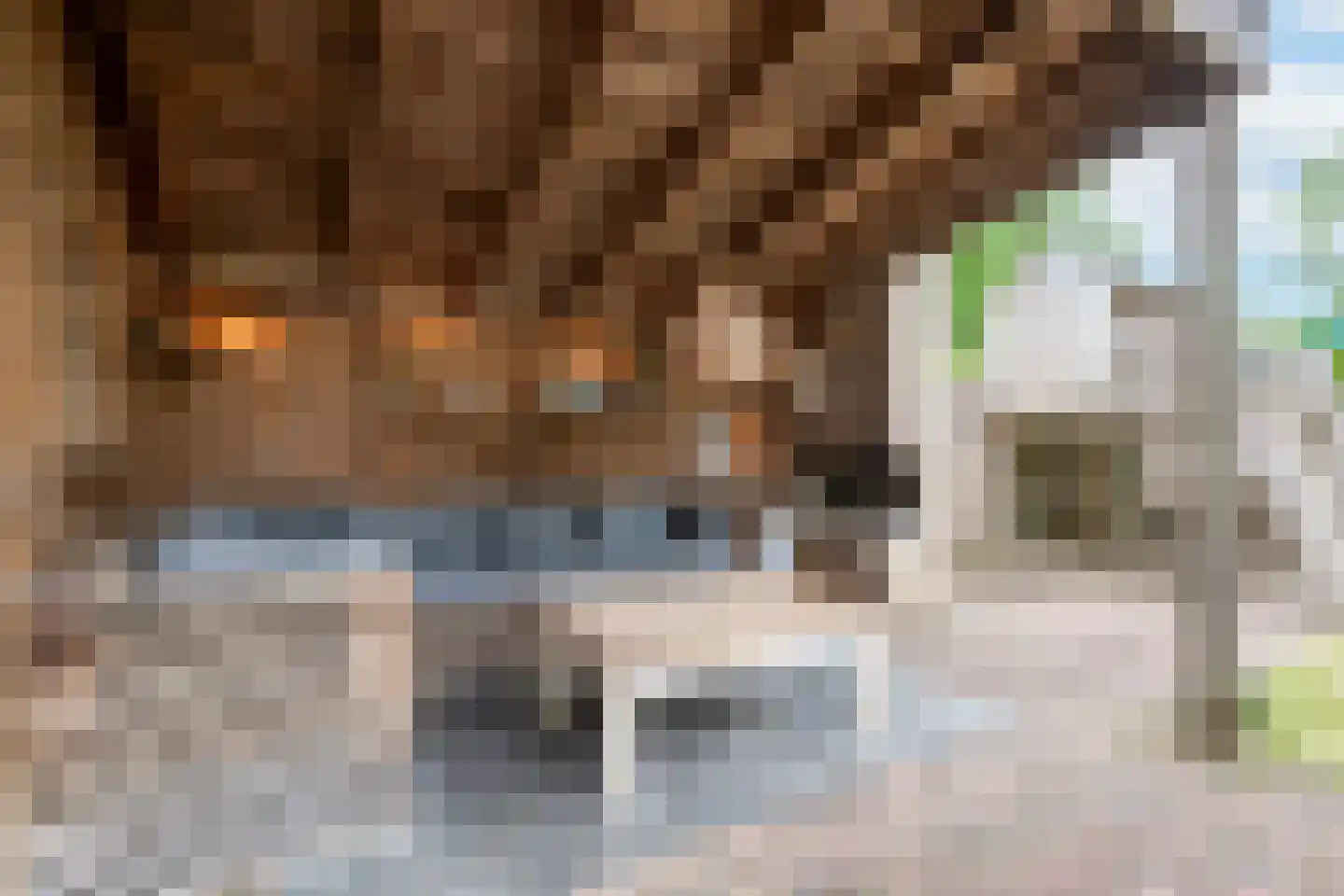 Jagershof 2 Oss thumbnail 26