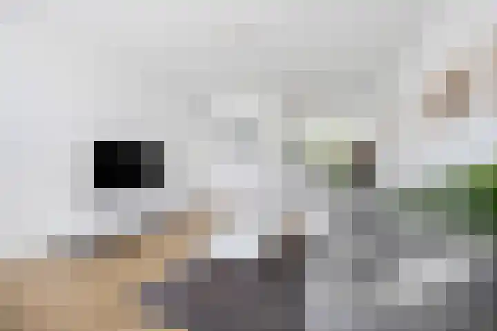 Jagershof 27 Etten-Leur thumbnail 10