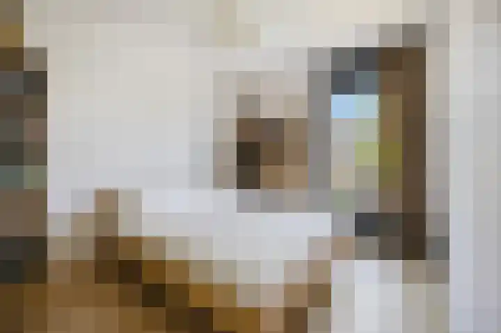 Jagershof 27 Etten-Leur thumbnail 20